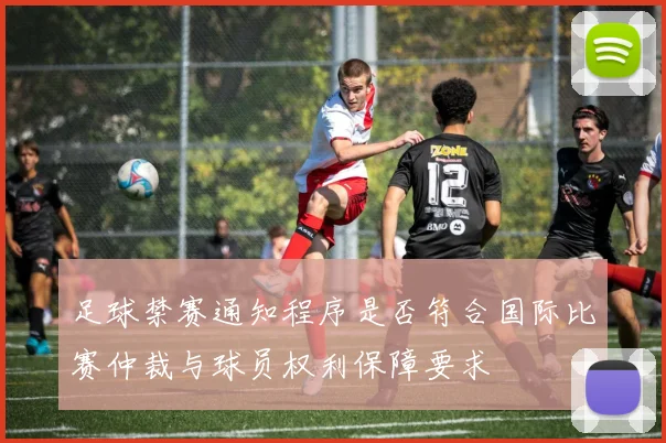 足球禁赛通知程序是否符合国际比赛仲裁与球员权利保障要求